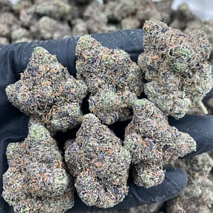 Bubble Gum Gelato 🍬