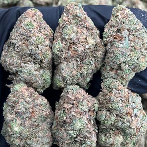 Critical Runtz 🎯