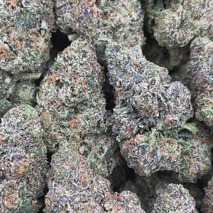 Zkittlez x Gelato