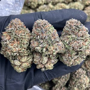 Dosi Sherbet