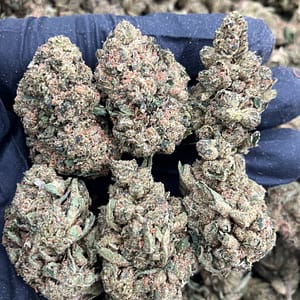 Dynamite O.G
