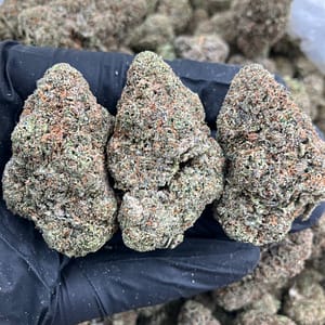 Frozen Gelato