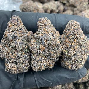 Purple Mochi ☔️