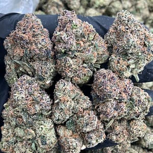 Purple Zkittlez 💜