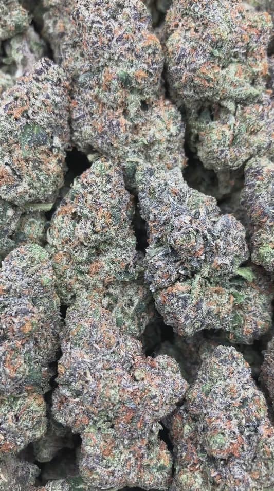 Zkittlez x Gelato