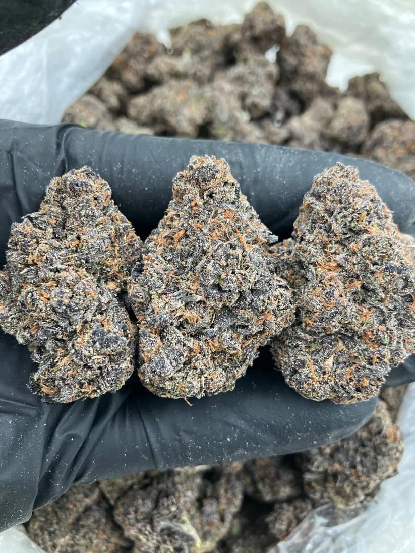 Grape Fanta