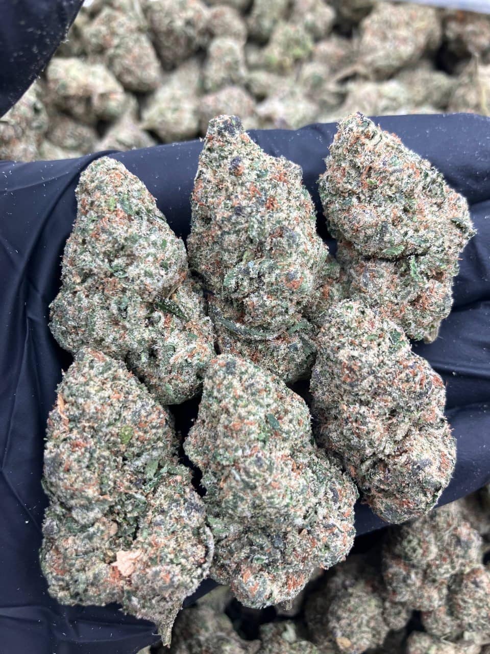 Crunch Berry