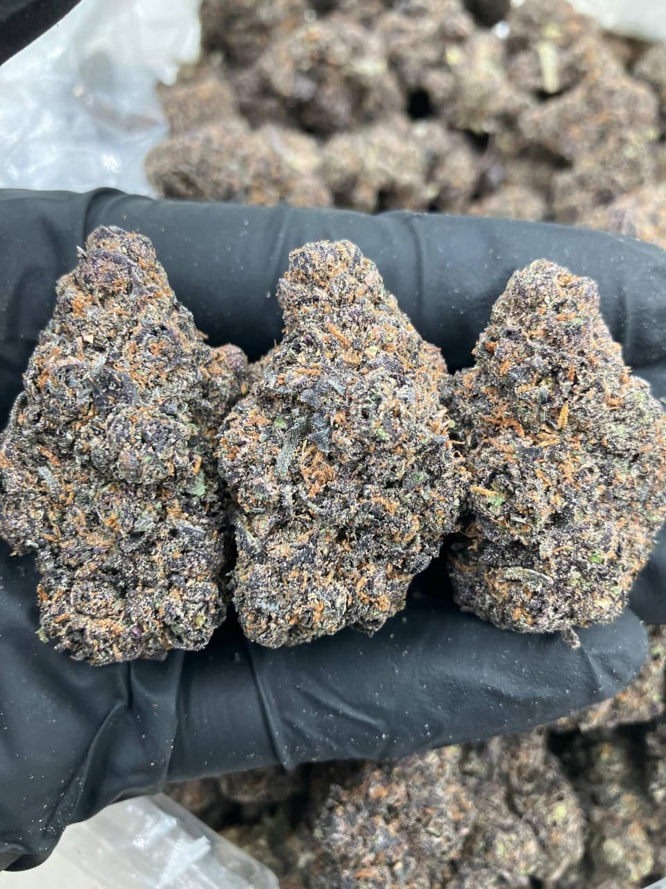 Purple Mochi ☔️
