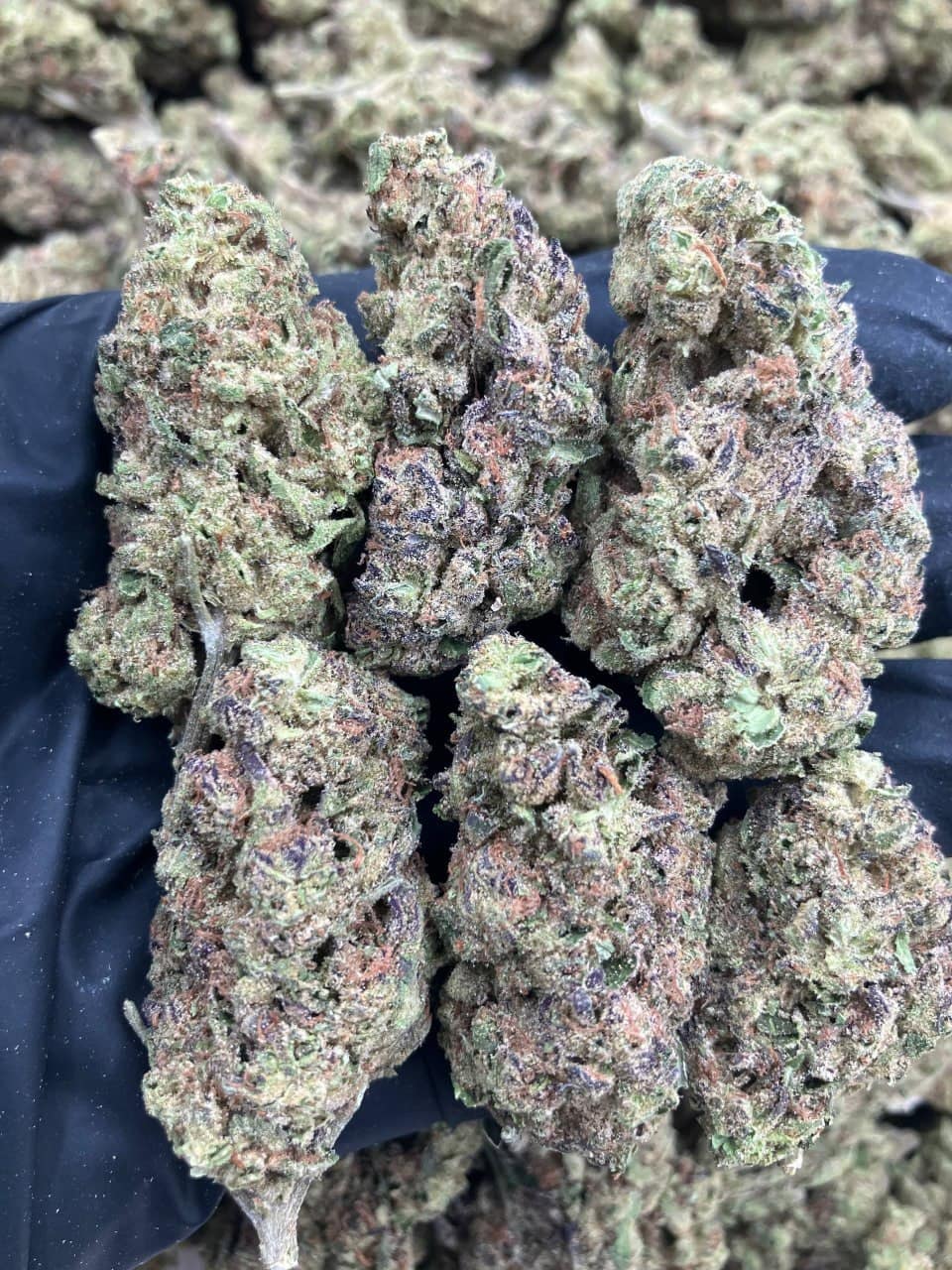 Purple Sundae 🍨