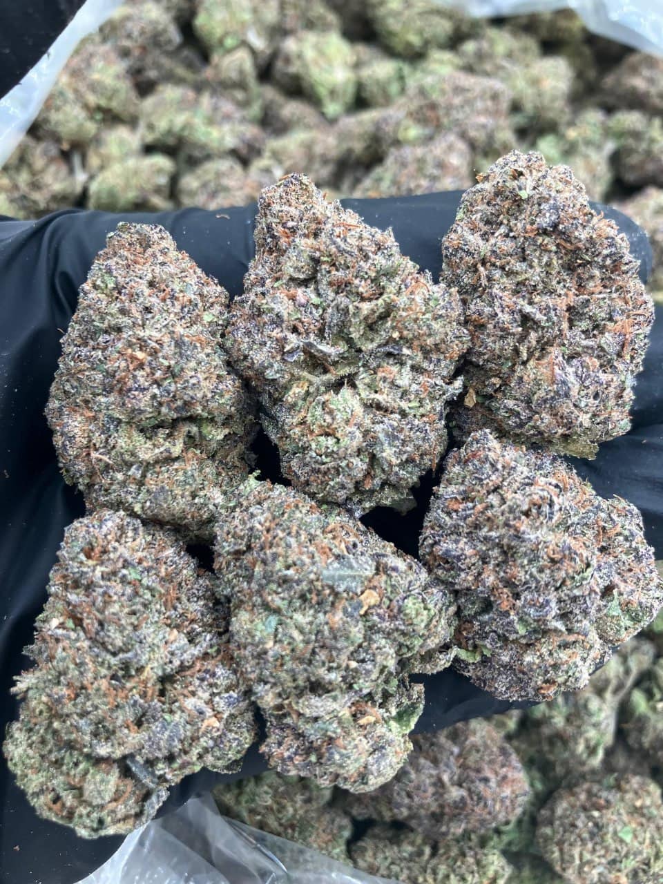 Rainbow Candy 🌈