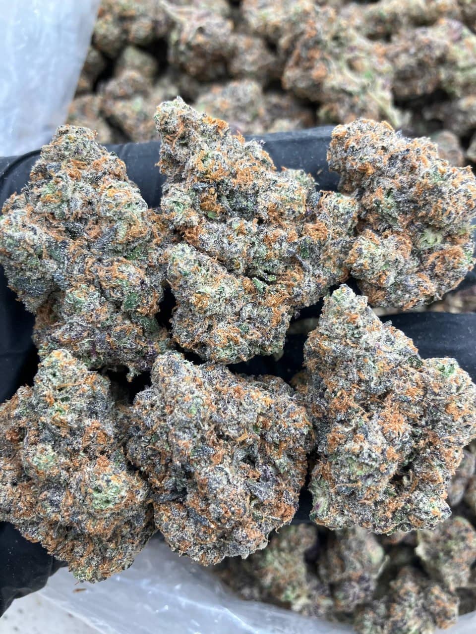 Smackerz 🖐