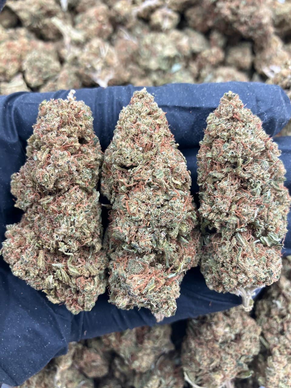 Super Diesel