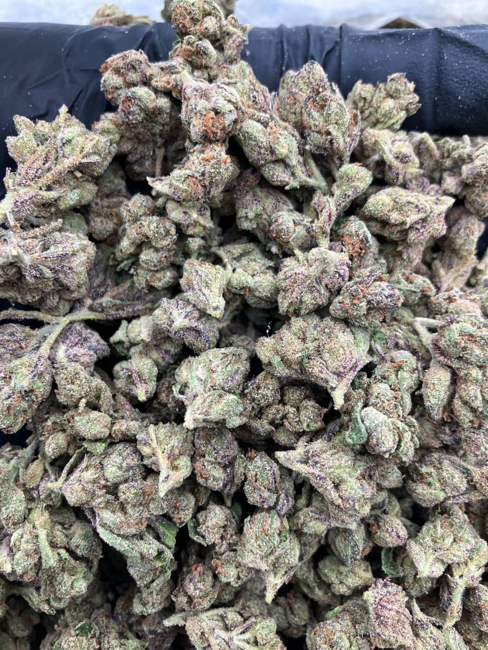 Cherry Lemonade Smalls